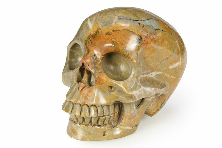 Realistic Columnar Stromatolite Skull #382217